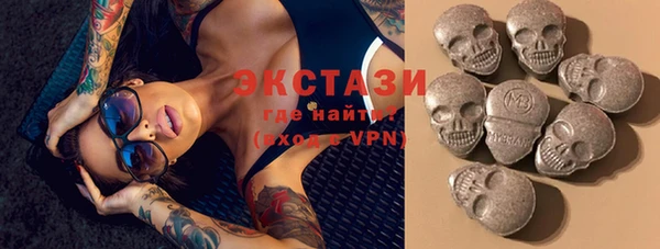 индика Богородицк
