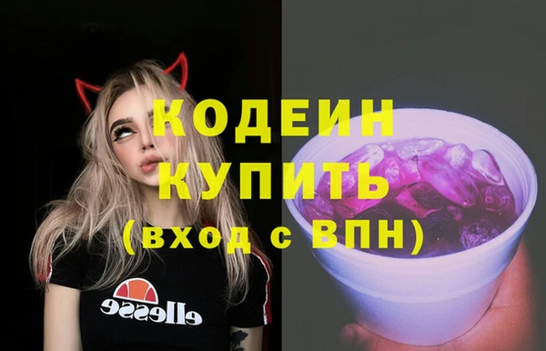 индика Богородицк