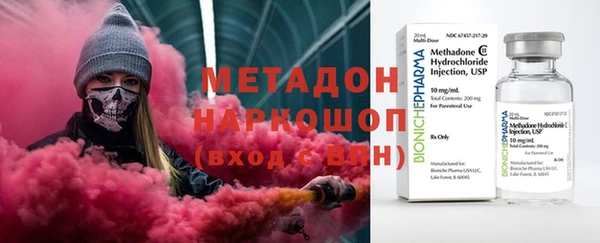 индика Богородицк