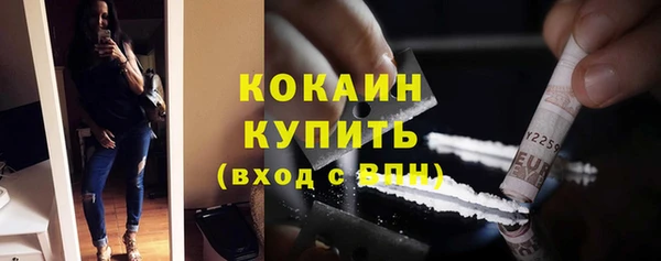 индика Богородицк