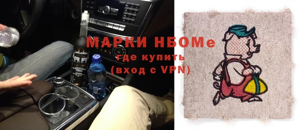 индика Богородицк