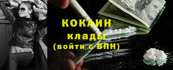 индика Богородицк