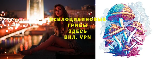 индика Богородицк