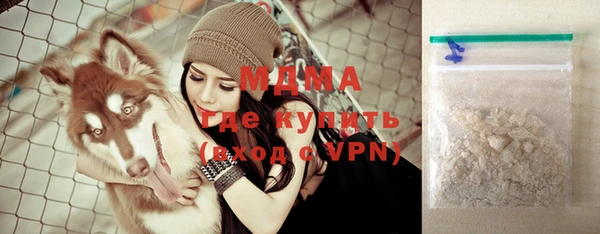 индика Богородицк