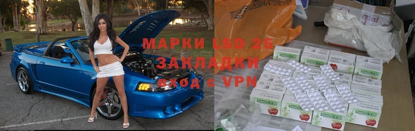 индика Богородицк